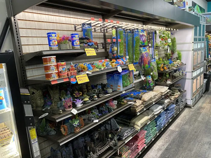 Pet Supermarket Picture 6