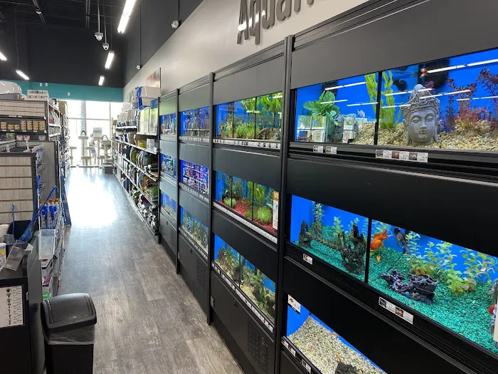 Pet Supermarket Picture 9
