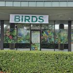 Brenda & Billy’s Aviary