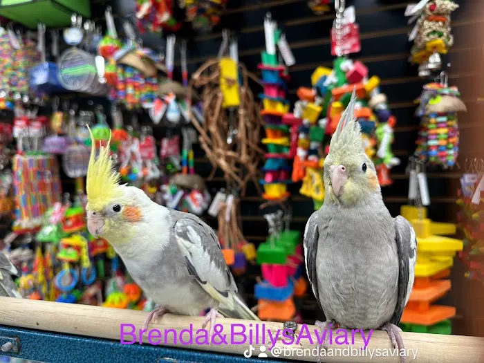 Brenda & Billy’s Aviary Picture 7