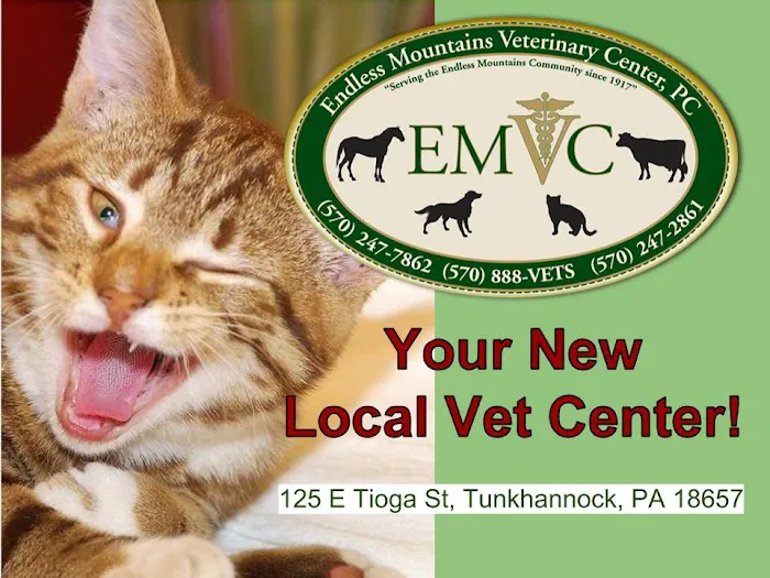 Endless Mountains Veterinary Center, PC Picture 3