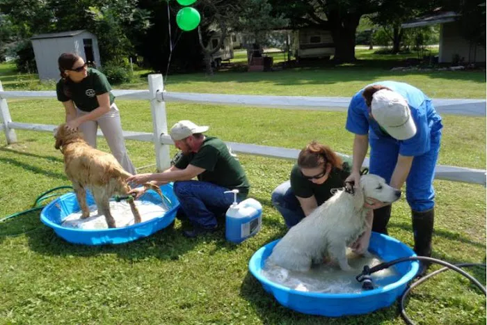 Endless Mountains Veterinary Center, PC Picture 9