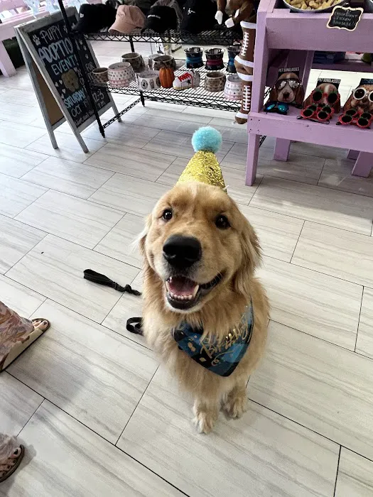 Scoopy Doo's Picture 5