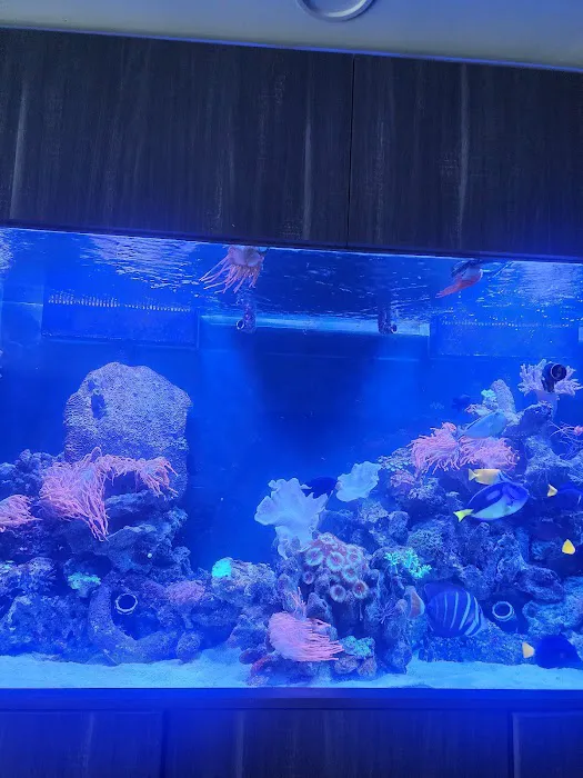 Delray Reef Shop Picture 1