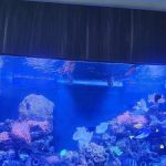 Delray Reef Shop