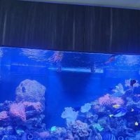 Delray Reef Shop ico