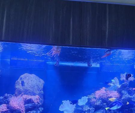 Delray Reef Shop