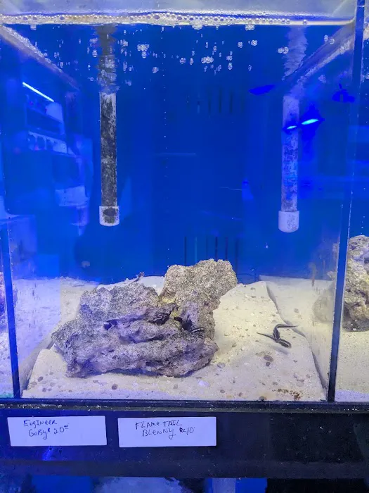 Delray Reef Shop Picture 2