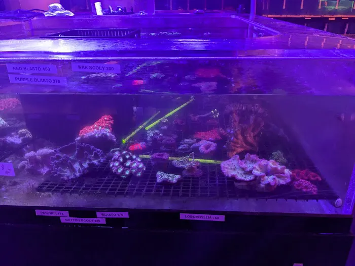 Delray Reef Shop Picture 4