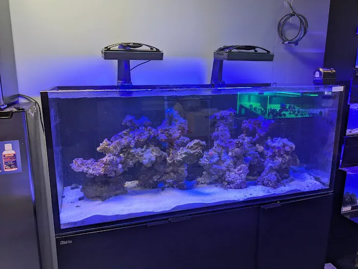 Delray Reef Shop Picture 5