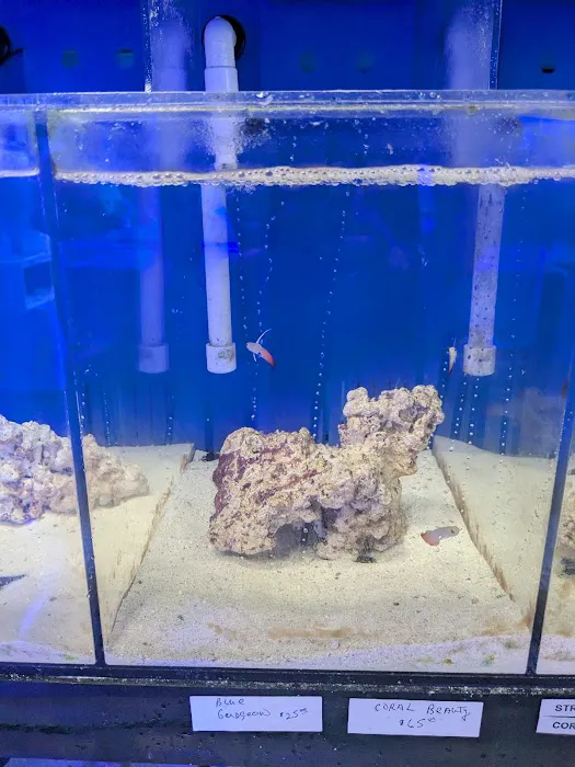 Delray Reef Shop Picture 6