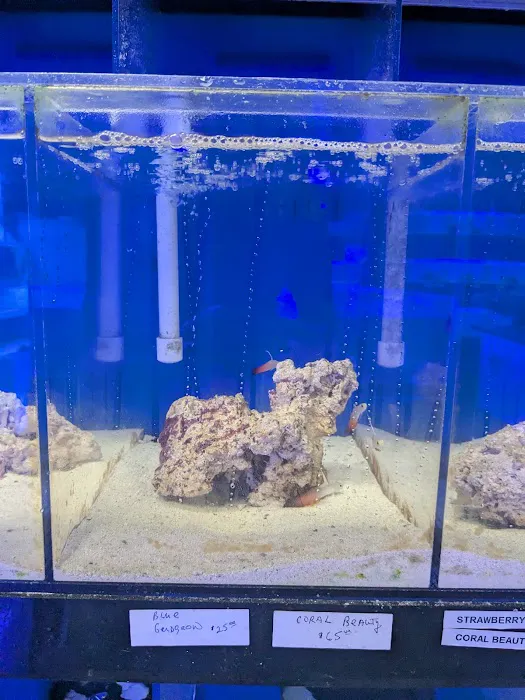 Delray Reef Shop Picture 7