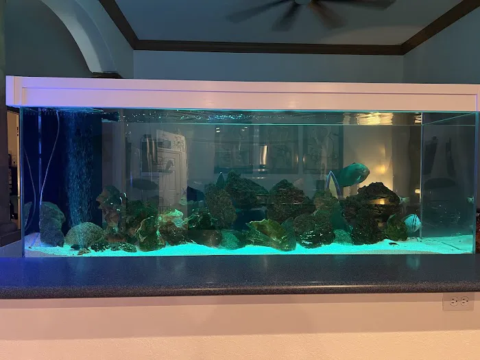 Delray Reef Shop Picture 10