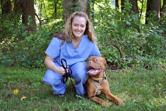 Country Veterinary Hospital Picture 3