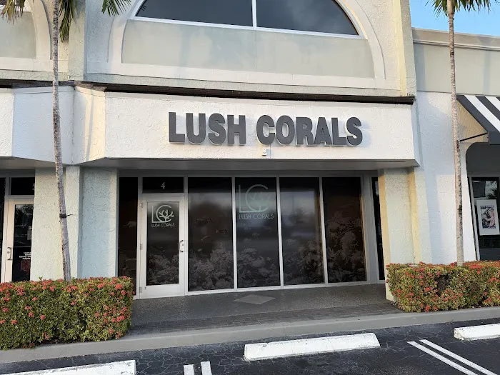 Lush Corals Picture 3