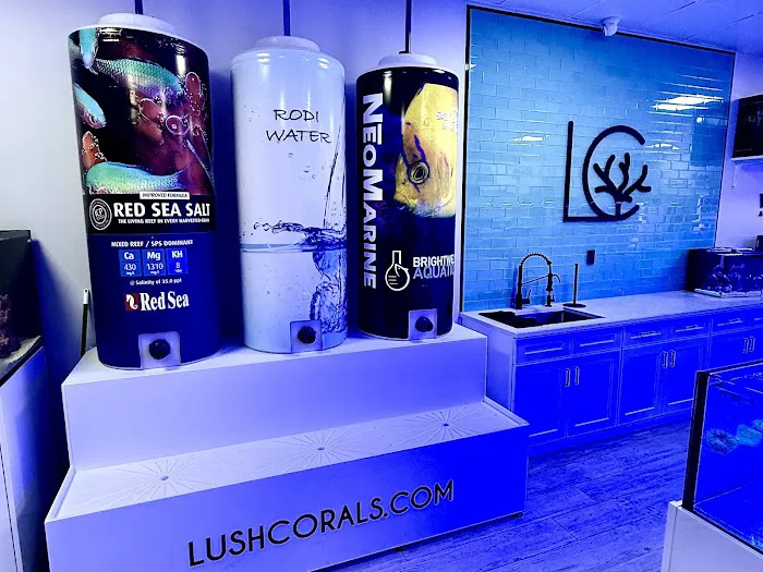 Lush Corals Picture 10