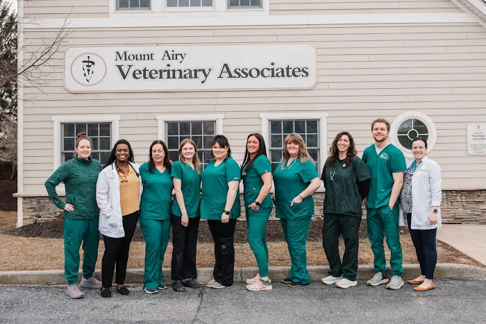 Mount Airy Veterinary Associates, Inc. Picture 1