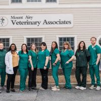 Mount Airy Veterinary Associates, Inc. ico