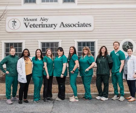 Mount Airy Veterinary Associates, Inc.