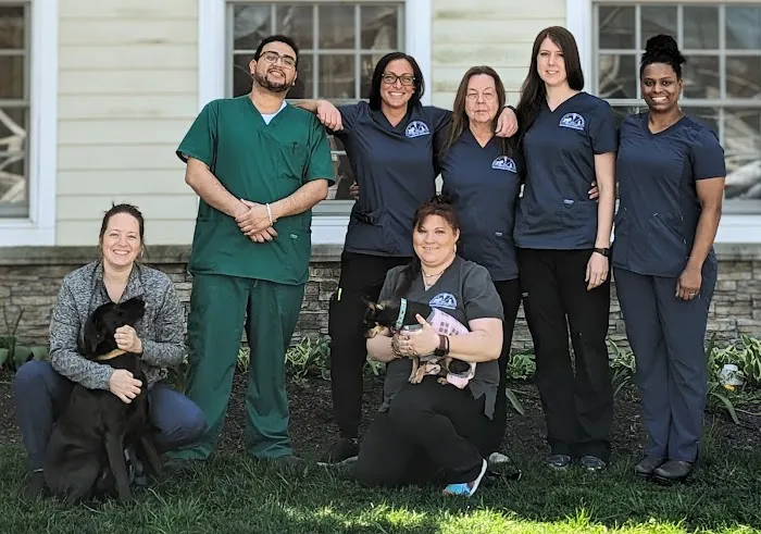 Mount Airy Veterinary Associates, Inc. Picture 3