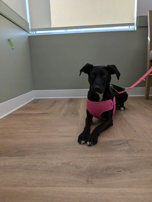 EastOver Veterinary Picture 9