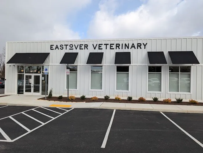 EastOver Veterinary Picture 8
