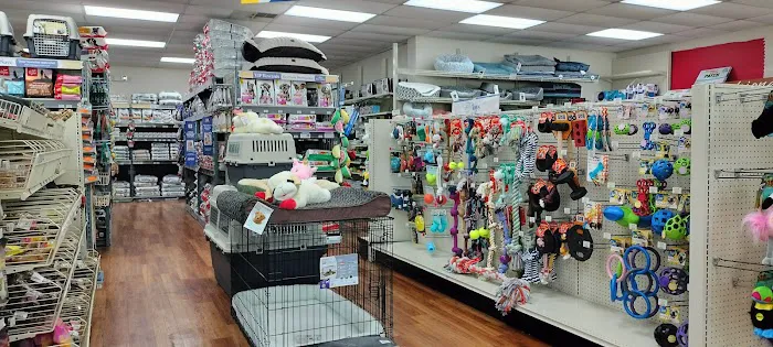 Pet Supermarket Picture 1