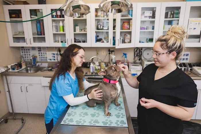 Eldersburg Veterinary Hospital Picture 1