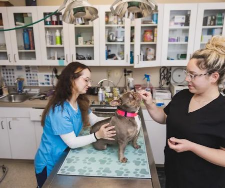 Eldersburg Veterinary Hospital