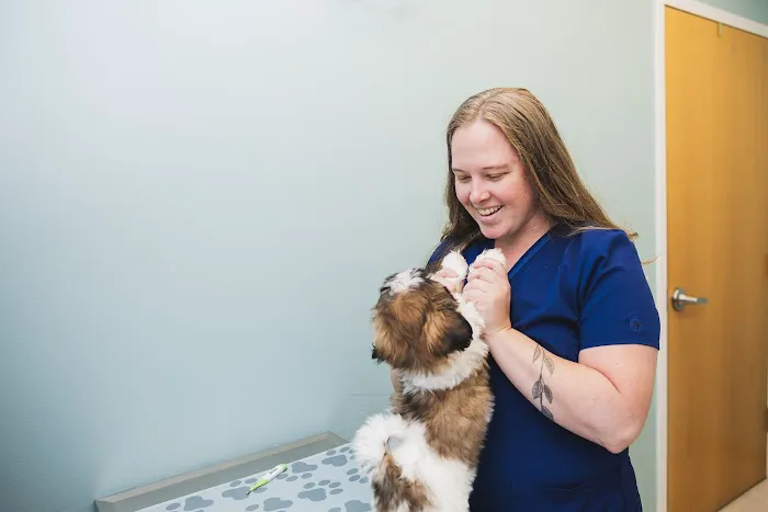 Eldersburg Veterinary Hospital Picture 2