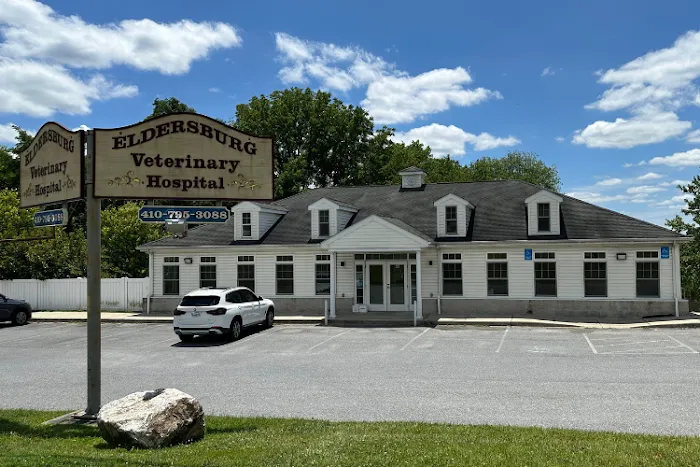 Eldersburg Veterinary Hospital Picture 3