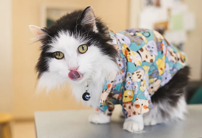 Eldersburg Veterinary Hospital Picture 5