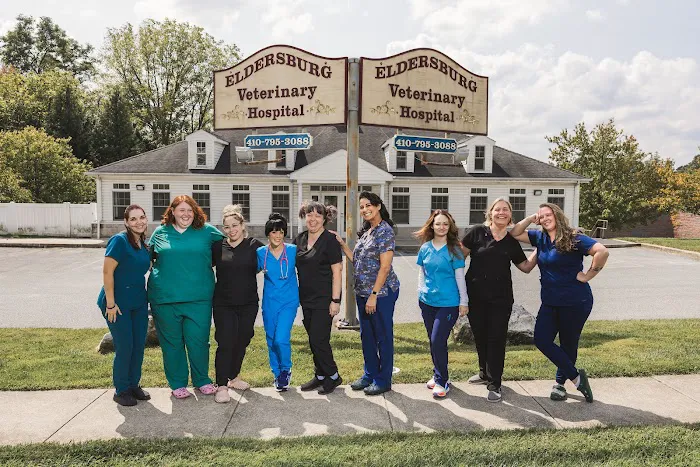 Eldersburg Veterinary Hospital Picture 8