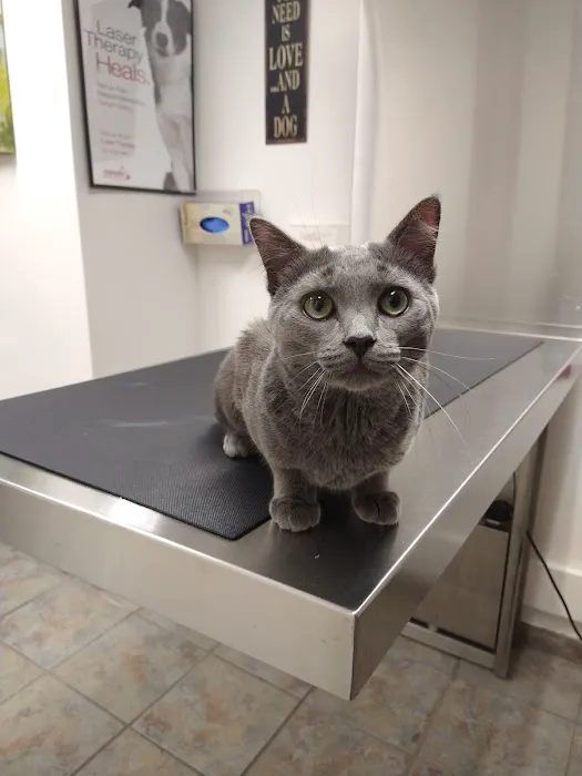 Carrolltown Veterinary Hospital Picture 5