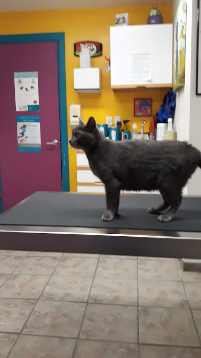 Carrolltown Veterinary Hospital Picture 4