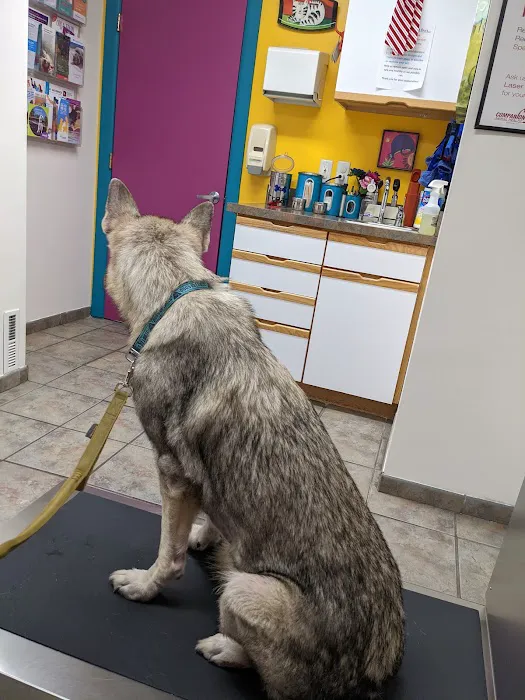 Carrolltown Veterinary Hospital Picture 9