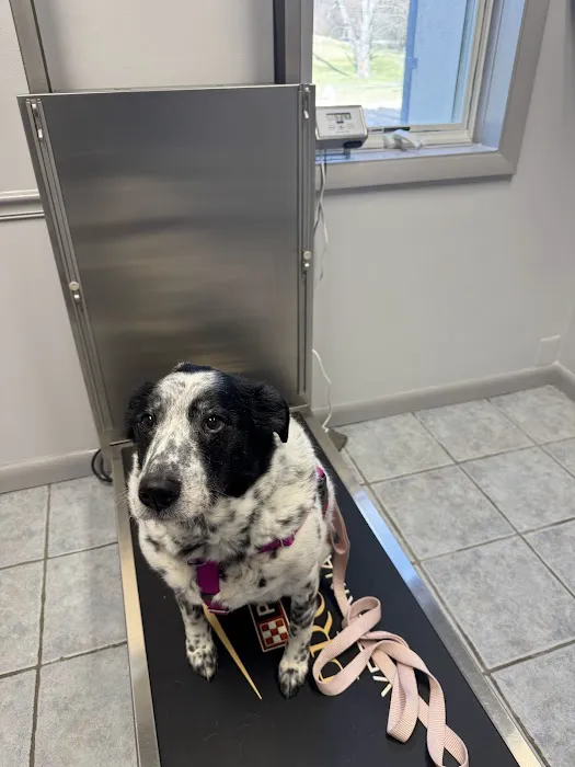 Carrolltown Veterinary Hospital Picture 7