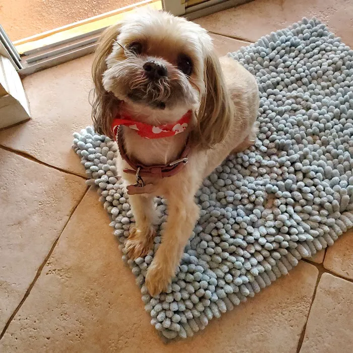 Wet Kisses Pet Company Picture 6