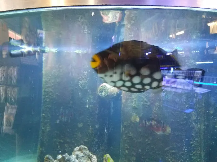 Tank Smart Aquariums Picture 3