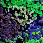 Tank Smart Aquariums