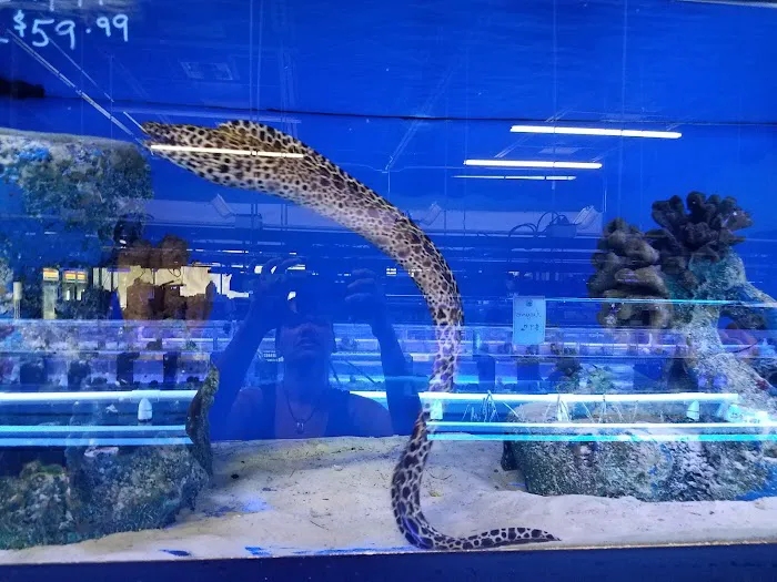 Tank Smart Aquariums Picture 5