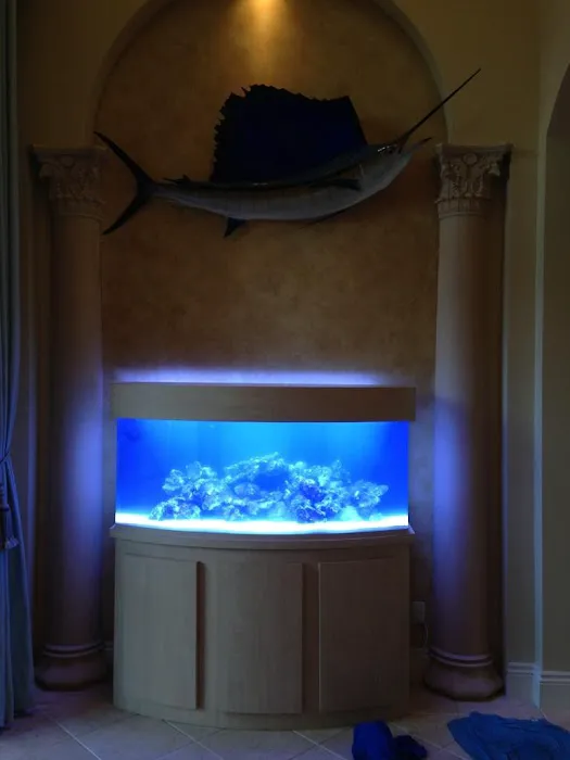 Tank Smart Aquariums Picture 4