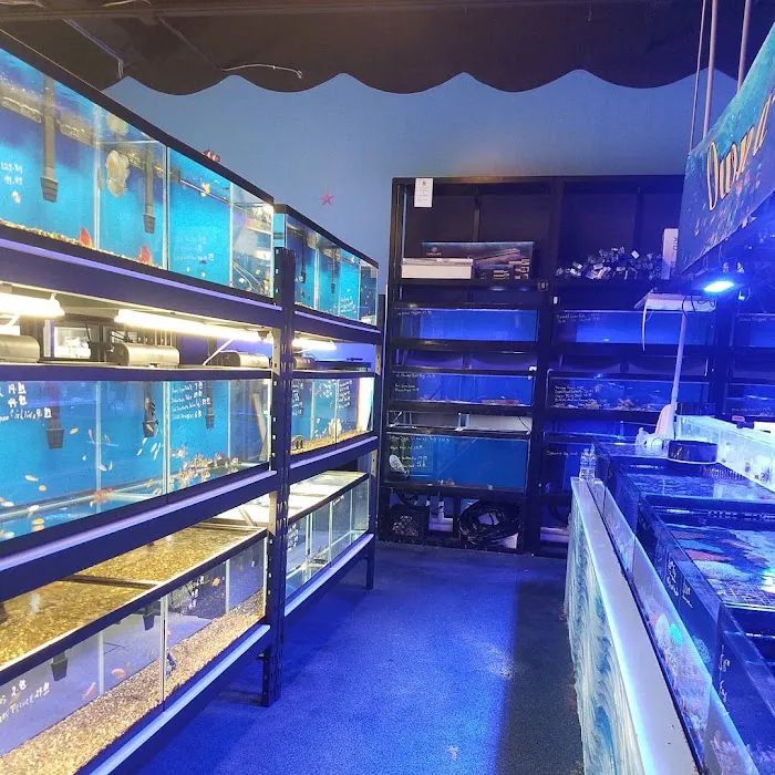Tank Smart Aquariums Picture 8