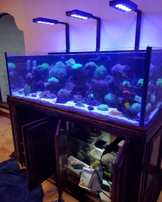 Tank Smart Aquariums Picture 7