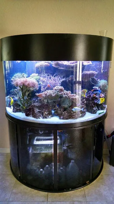 Tank Smart Aquariums Picture 10