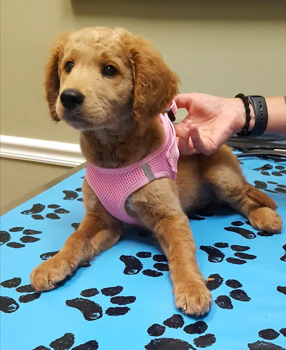 West Friendship Animal Hospital Picture 3