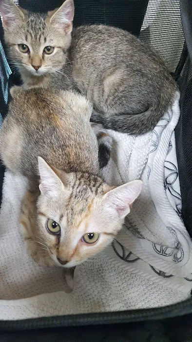 West Friendship Animal Hospital Picture 6