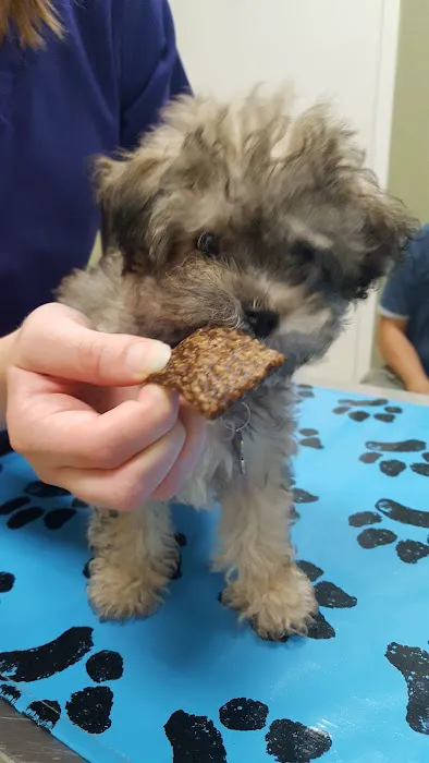 West Friendship Animal Hospital Picture 7