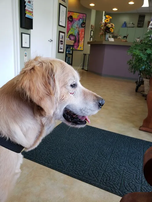 West Friendship Animal Hospital Picture 9