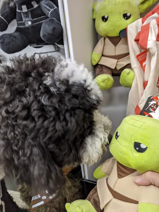 Petco Picture 4